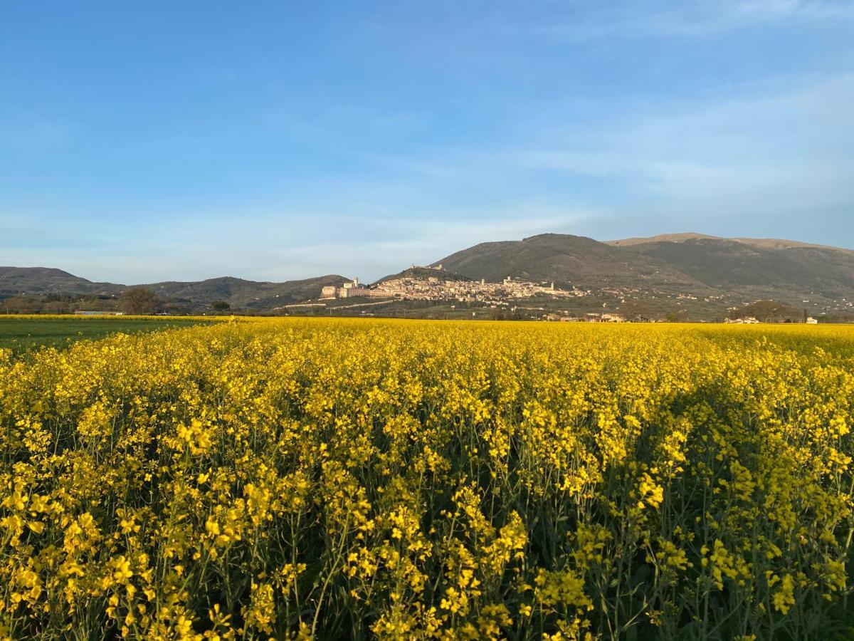 La Perla Di Assisi Ξενοδοχείο Εξωτερικό φωτογραφία