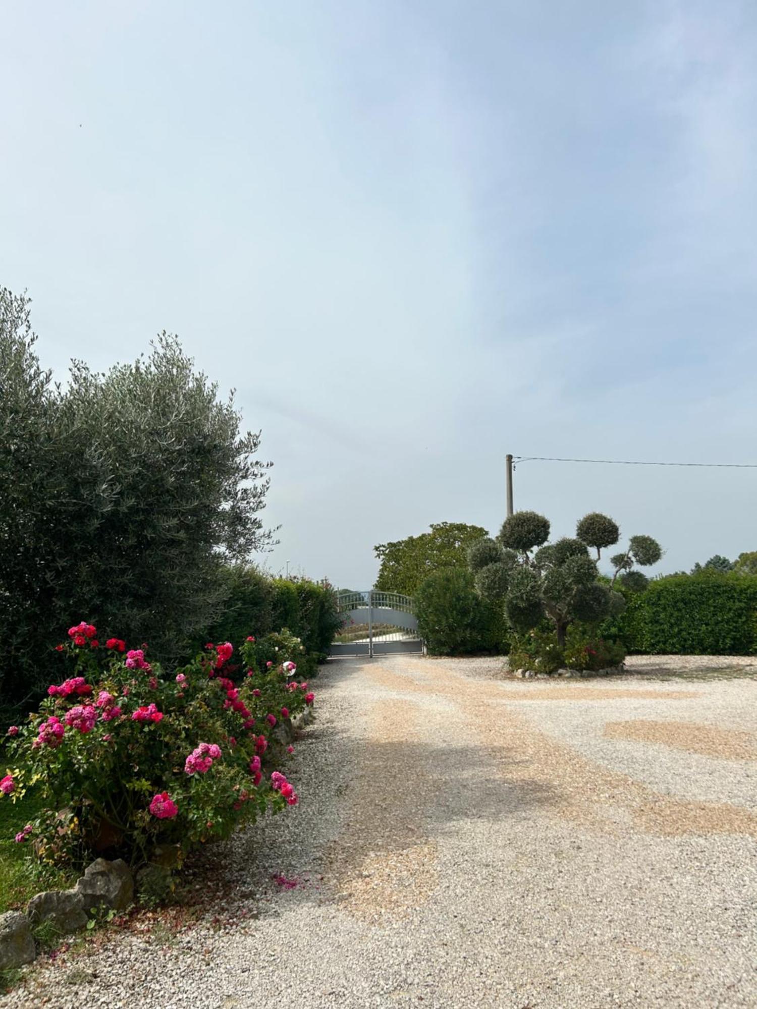 La Perla Di Assisi Ξενοδοχείο Εξωτερικό φωτογραφία